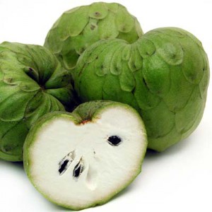 fruit-feuille-annona-cherimola-cherimoya-churimoya-chirimoya-anti-cancer (11)